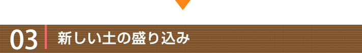 工事の流れ03:新しい土の盛り込み