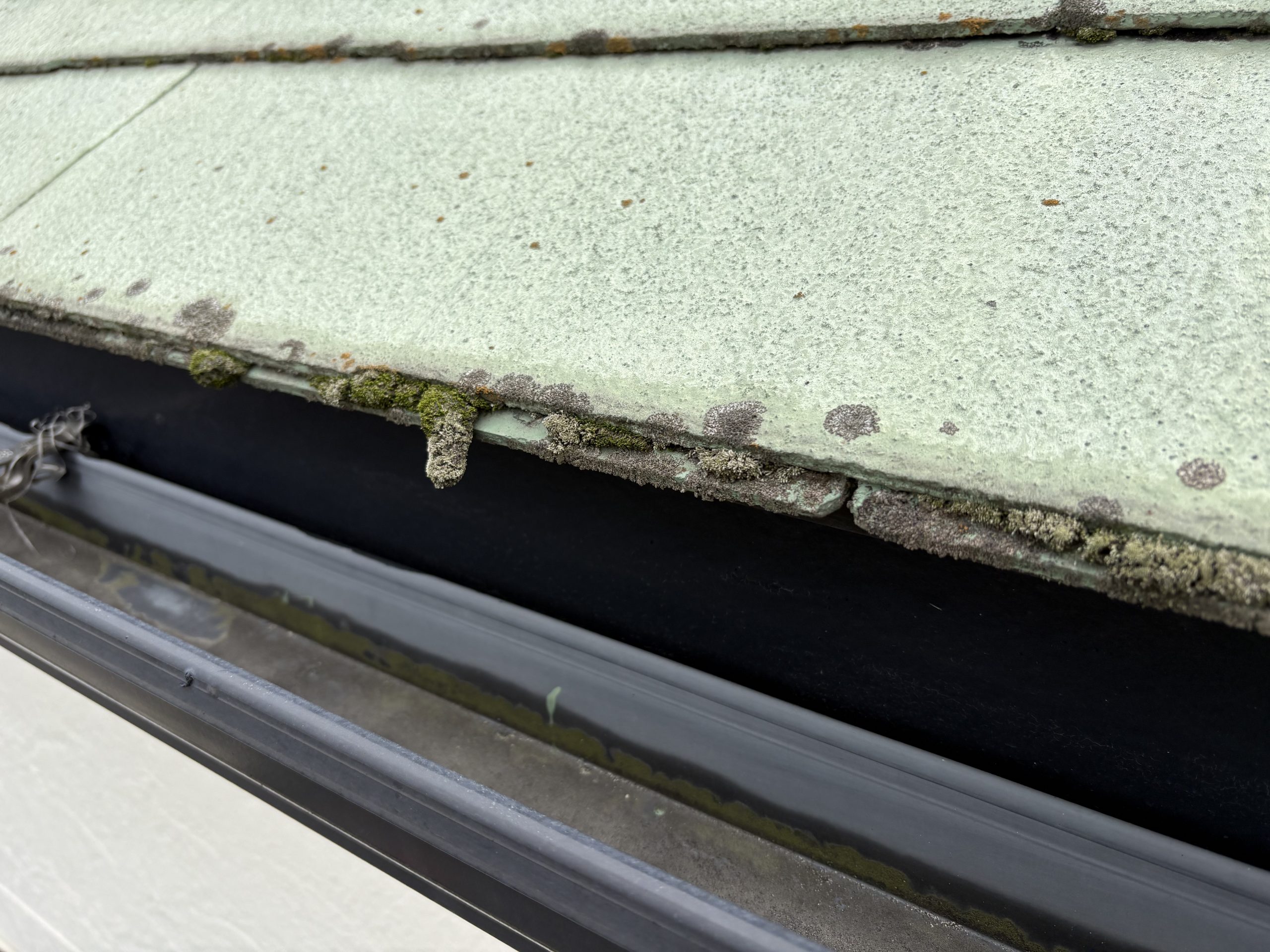 軒先の苔とスレートの剥がれ
