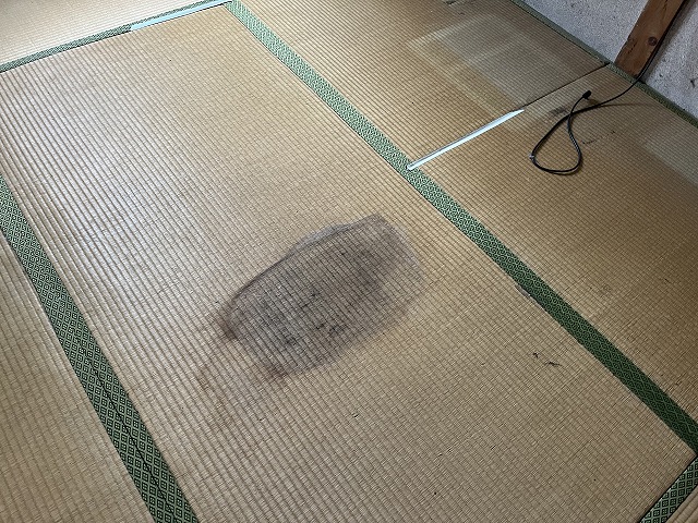 大阪市東成区にて黒瓦のズレで雨漏りした雨が部屋のなかまでおちてきて畳が腐っている