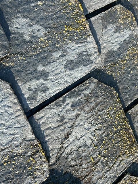 広範囲に苔が生じた屋根