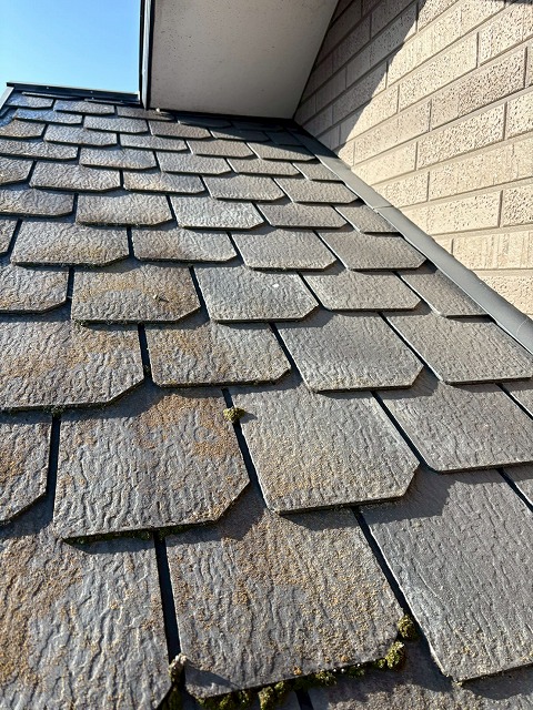 屋根メンテナンスもおまかせ