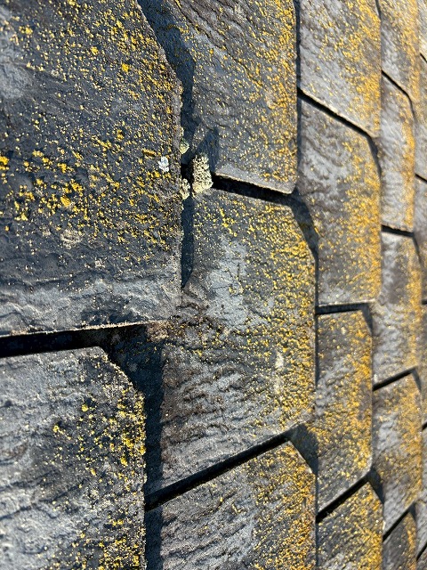 大東市で苔が発生した屋根の現地調査、黄ばんだ苔の放置は経年劣化が加速するので厳禁です