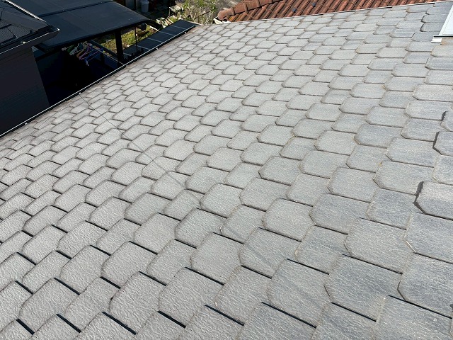 カラーベストの状態確認