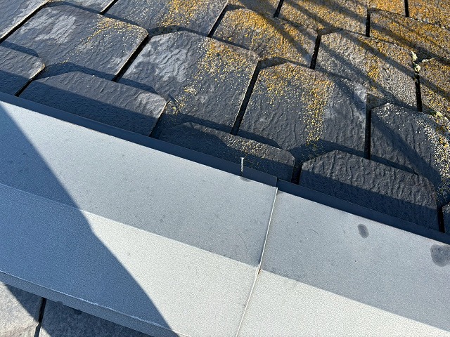 屋根点検もおまかせ！