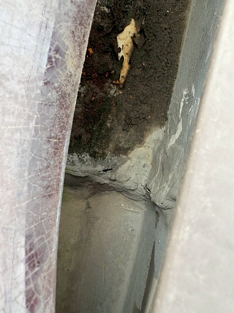 瓦の下を状態確認