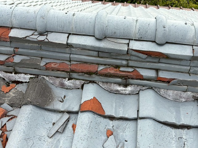 凍害被害もご相談ください