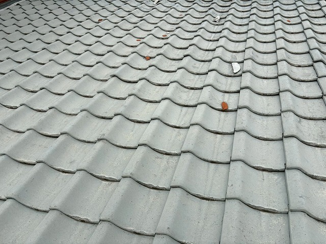 凍害被害の破片が散乱