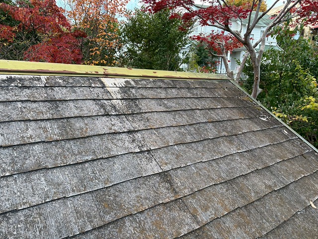 葺き替えが推奨される状況