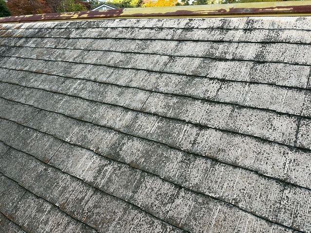 東大阪市で屋根工事を検討しているお客さまからの点検依頼、経年劣化が深刻で葺き替えか屋根カバー工事が求められる状態