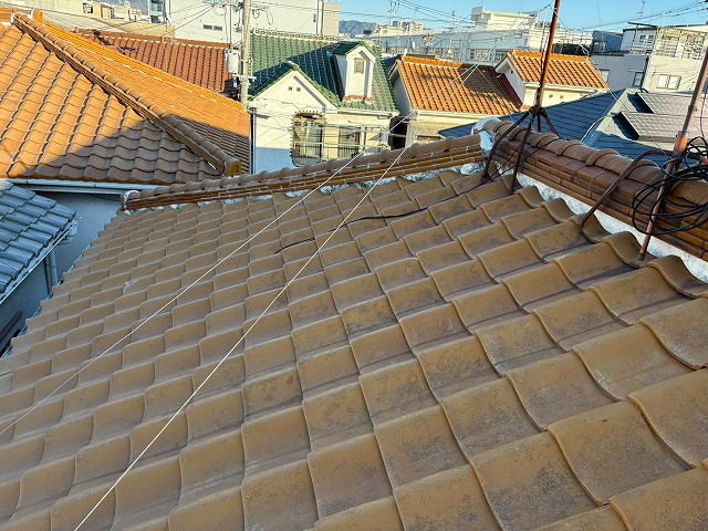 屋根点検もご相談ください