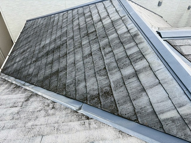 大阪市生野区で豪雨のたびに雨漏りが発生したカラーベストの住宅を点検、屋根裏天井から雨漏りしていた