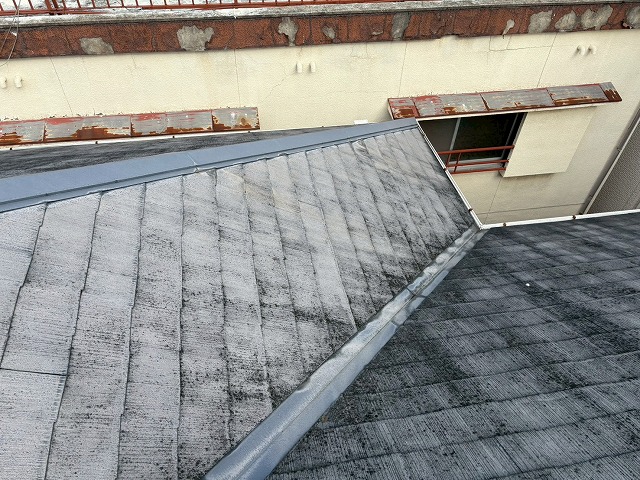 屋根調査も弊社におまかせ