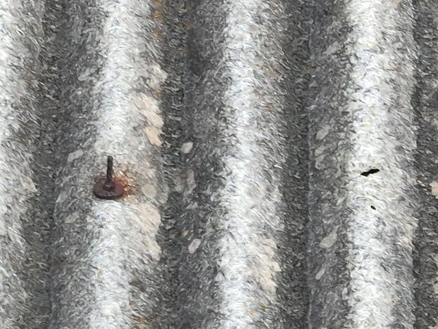 明かり取りの穴を発見