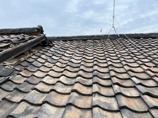 東大阪市で雨漏りが発生した連棟二階建て住宅の瓦屋根を現地調査、瓦の破損が複数みられた上に棟瓦のズレ・歪みが発生