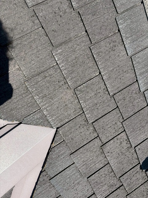 コロニアル屋根の調査
