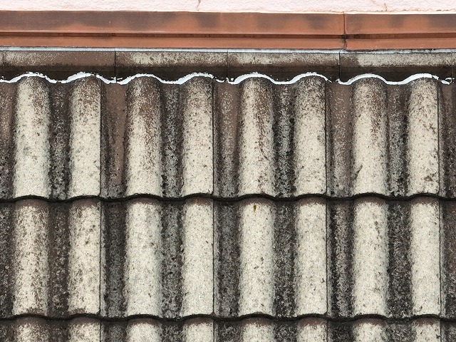 葺き替えをおすすめいたしました