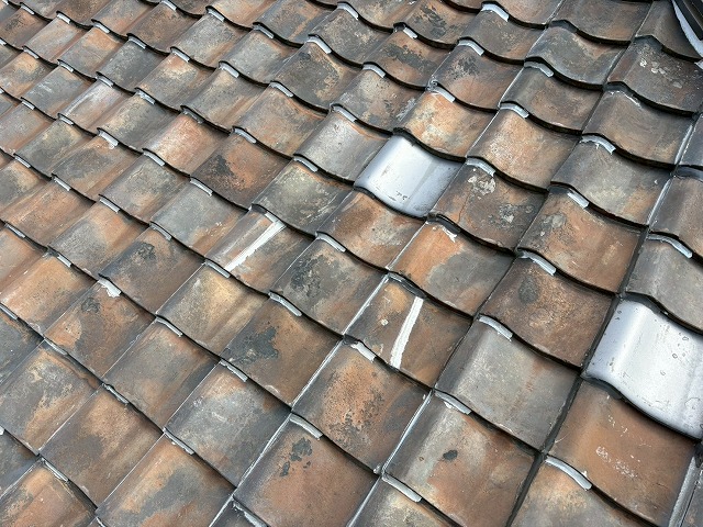 屋根点検もおまかせ