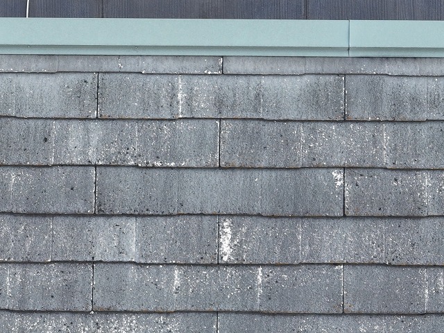 破損部分が多いカラーベストにおすすめ