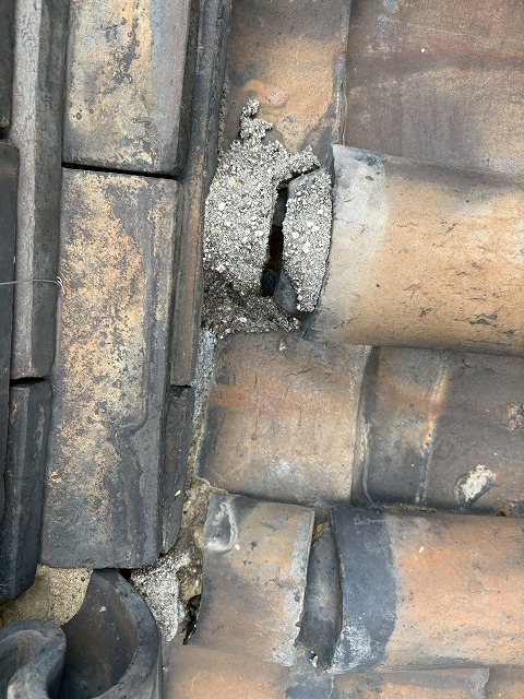 垂木が折れた屋根