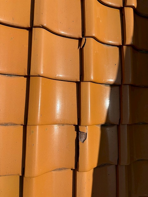 凍害被害の状況