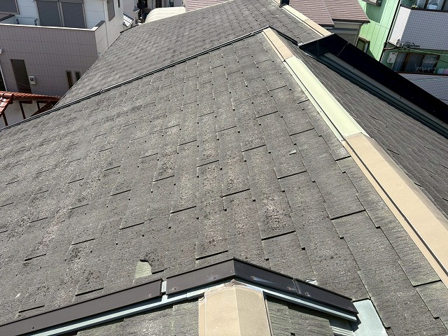 棟板金点検もおまかせください