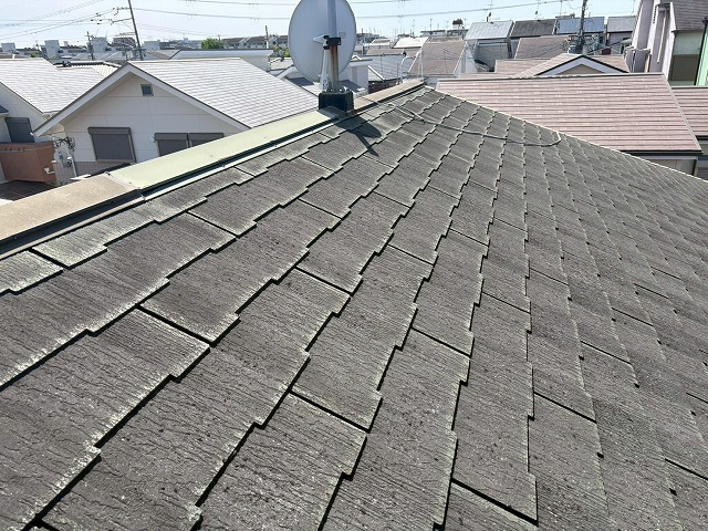 屋根点検もおまかせ