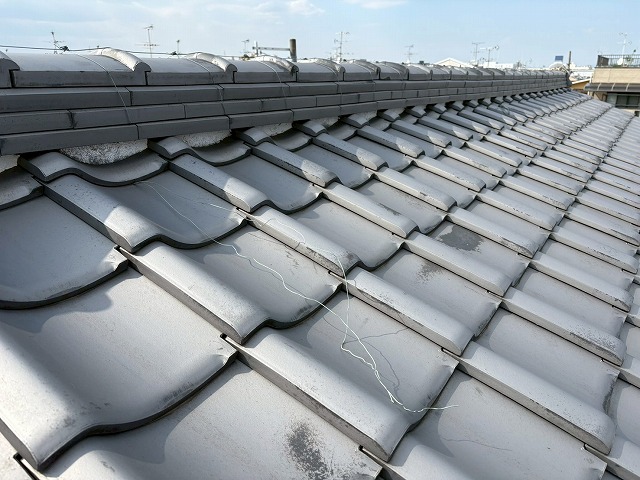 屋根点検もおまかせ