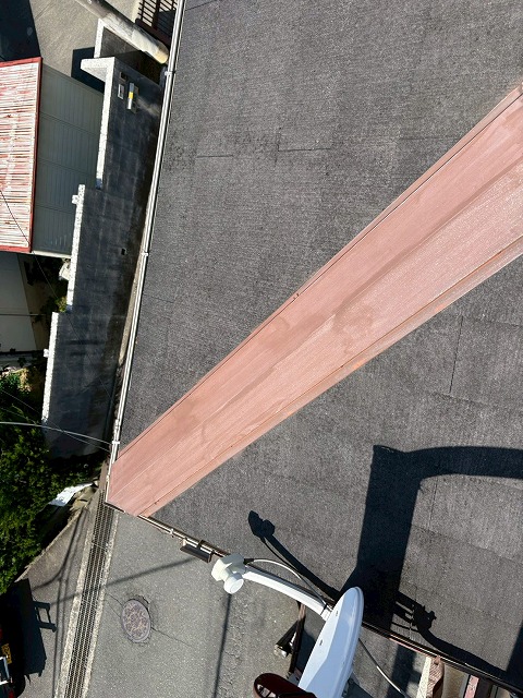 剥き出しの棟
