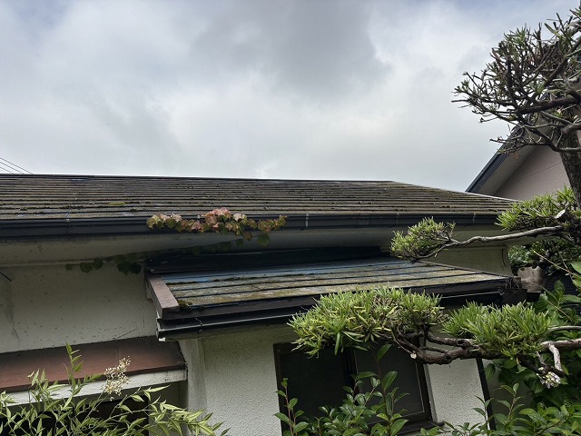 施工前の屋根