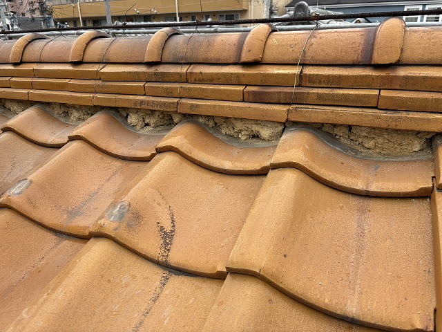 棟下の清掃と下地確認