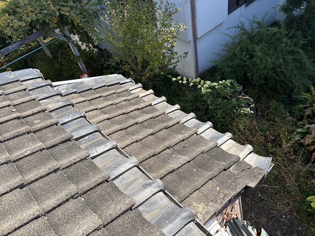 下屋部分の色あせと浮き