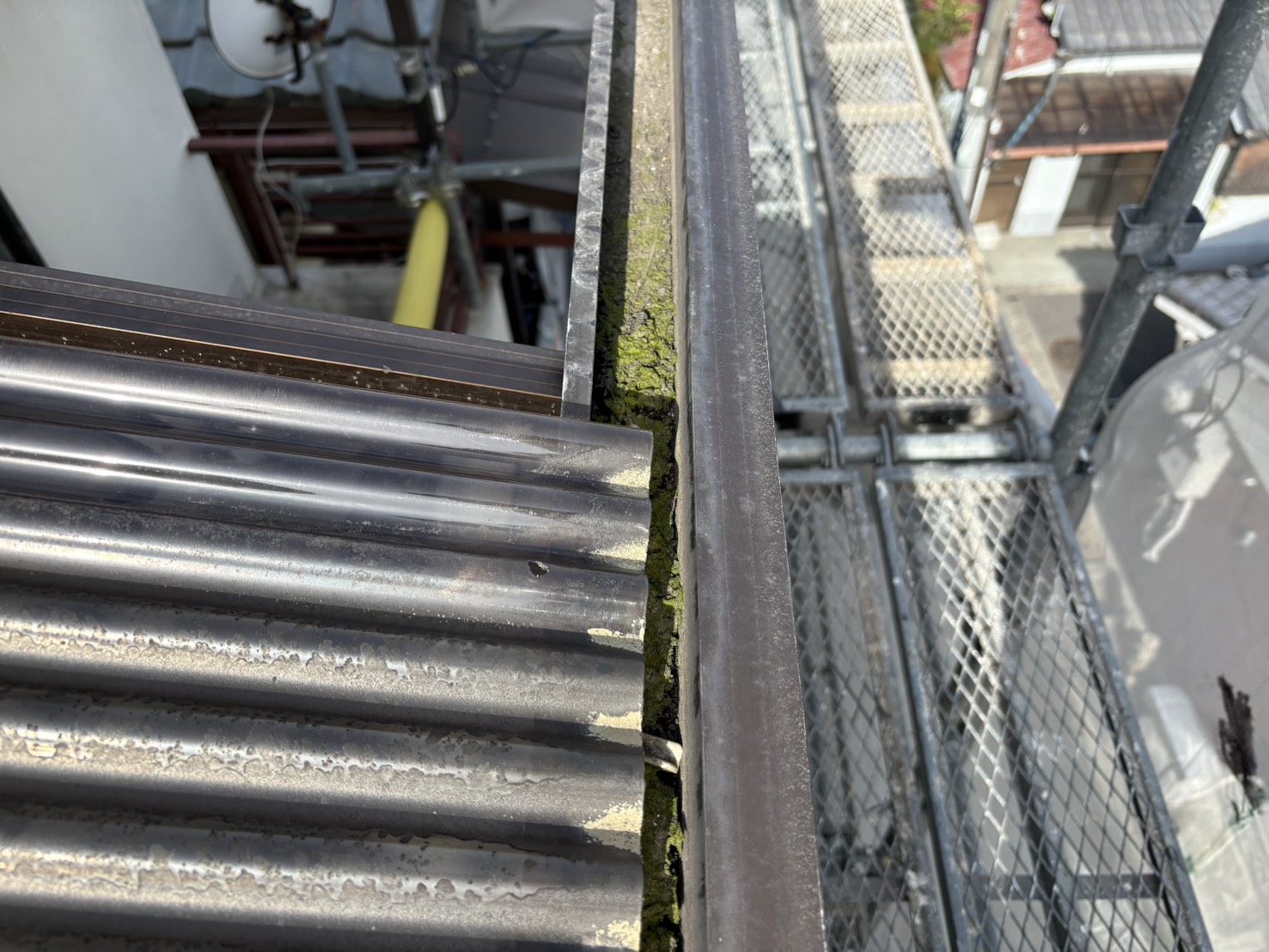 端部フレーム沿いの苔・汚れの付着